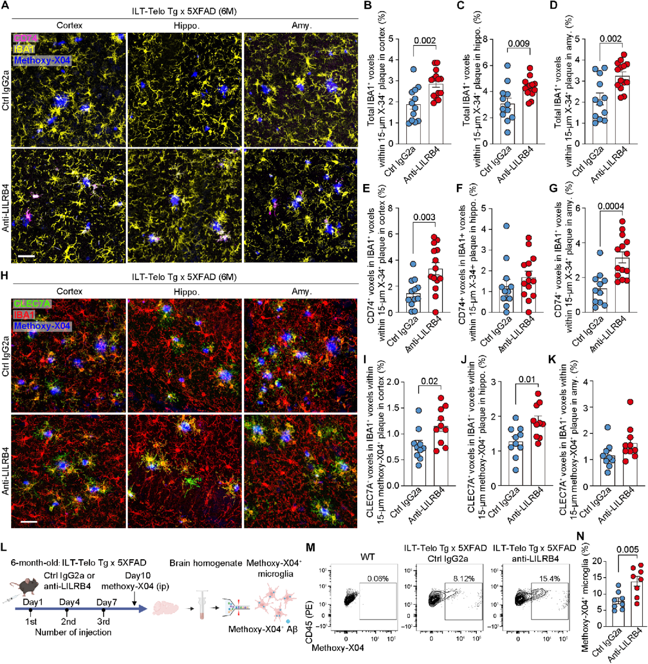 Pathological study of anti-human LILRB4 antibody in a mouse model of Alzheimer's disease